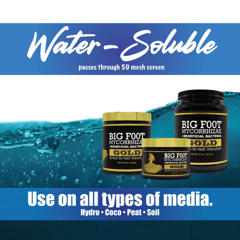 Big Foot Gold microbial spores close-up emphasizes high spore count per gram