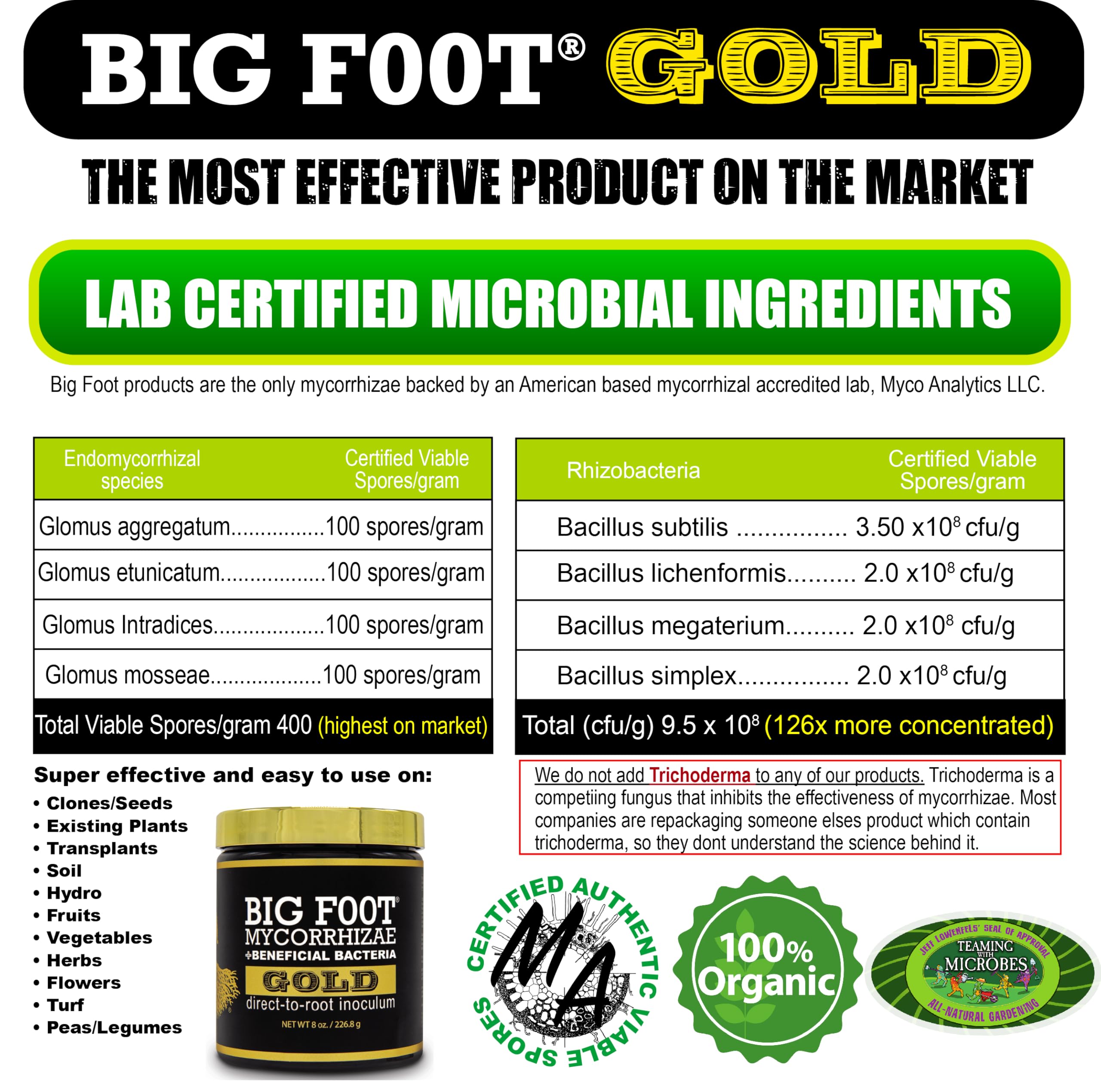 Big Foot Gold root growth portrait showing vigorous root systems