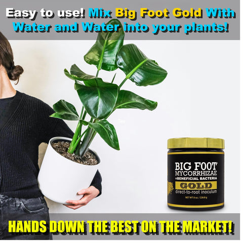 Big Foot Gold compatible with soil and hydroponics in diverse systems