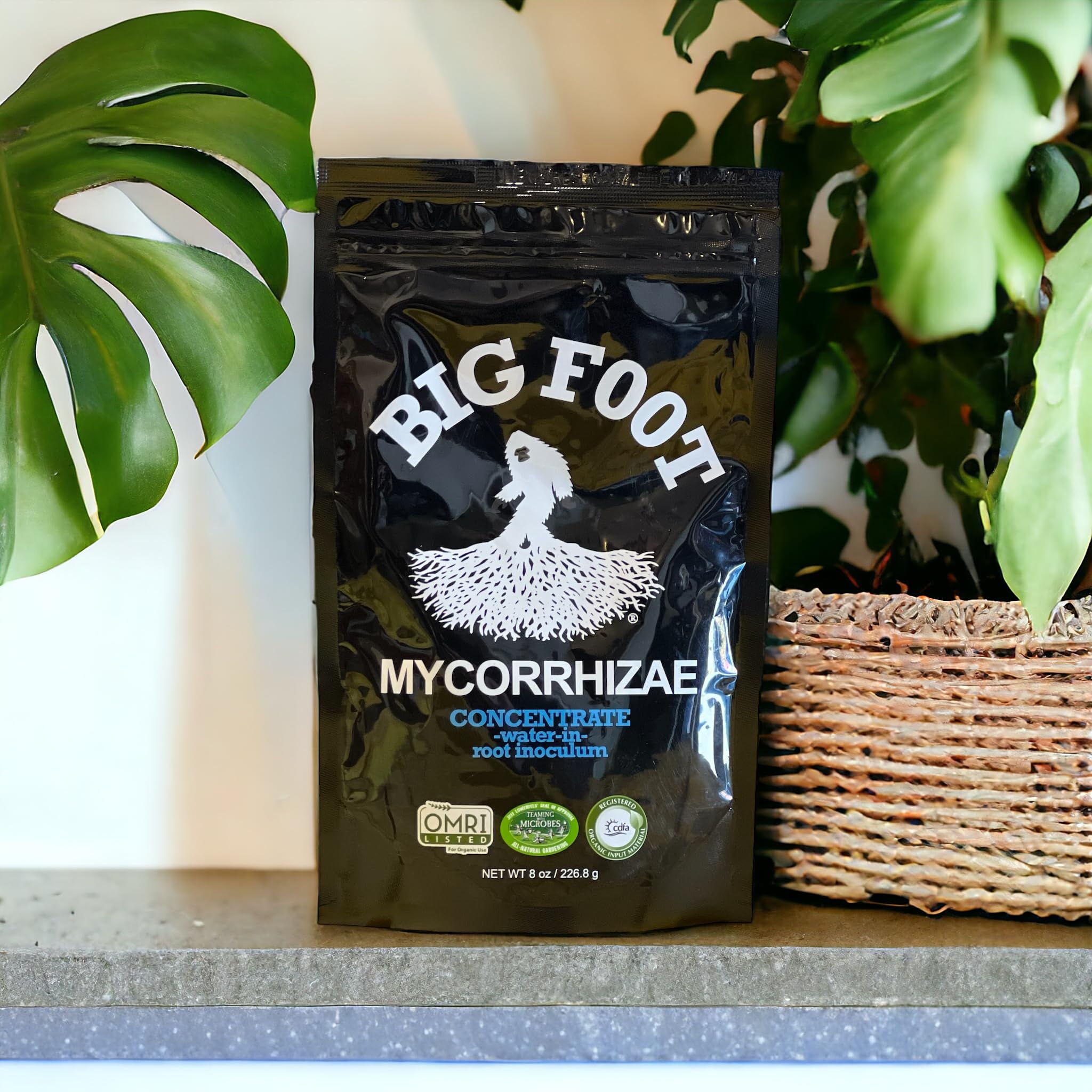 Harvest-ready vegetables with Big Foot mycorrhizae for quality.