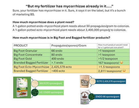 Lawn treated with Big Foot mycorrhizae for drought resilience.