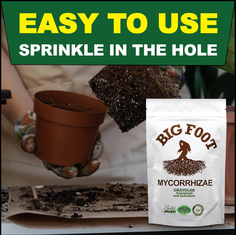 Big Foot Mycorrhizae made-in-the-usa label signals trusted quality.