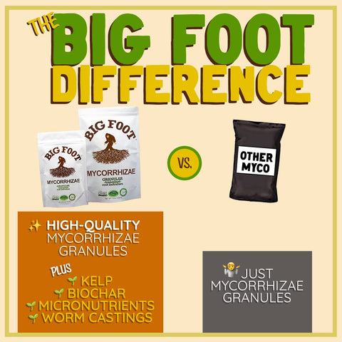 Big Foot Mycorrhizae used on potted plants for container gardening.