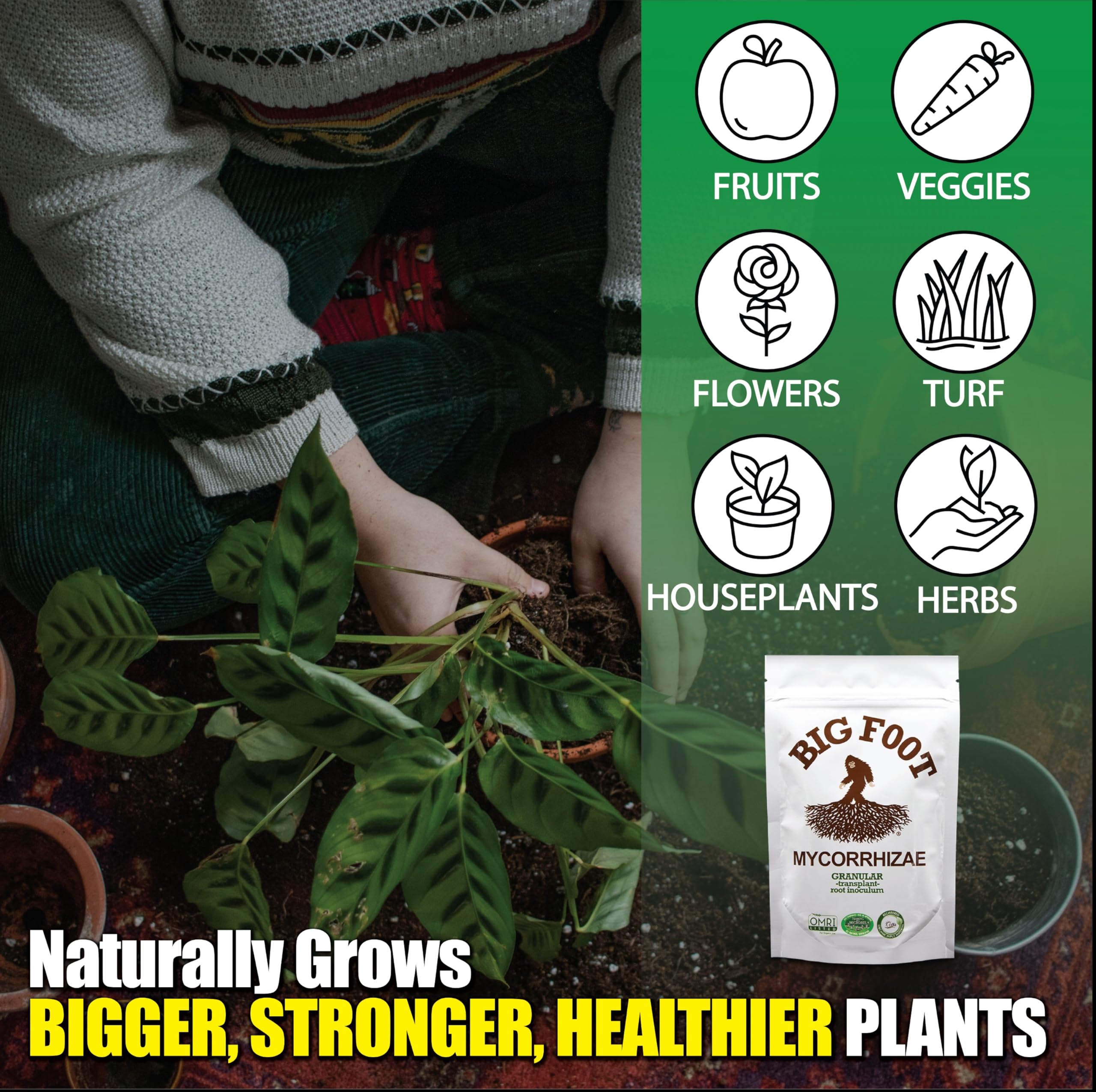 Big Foot Mycorrhizae root-application kit for easy plant treatment.
