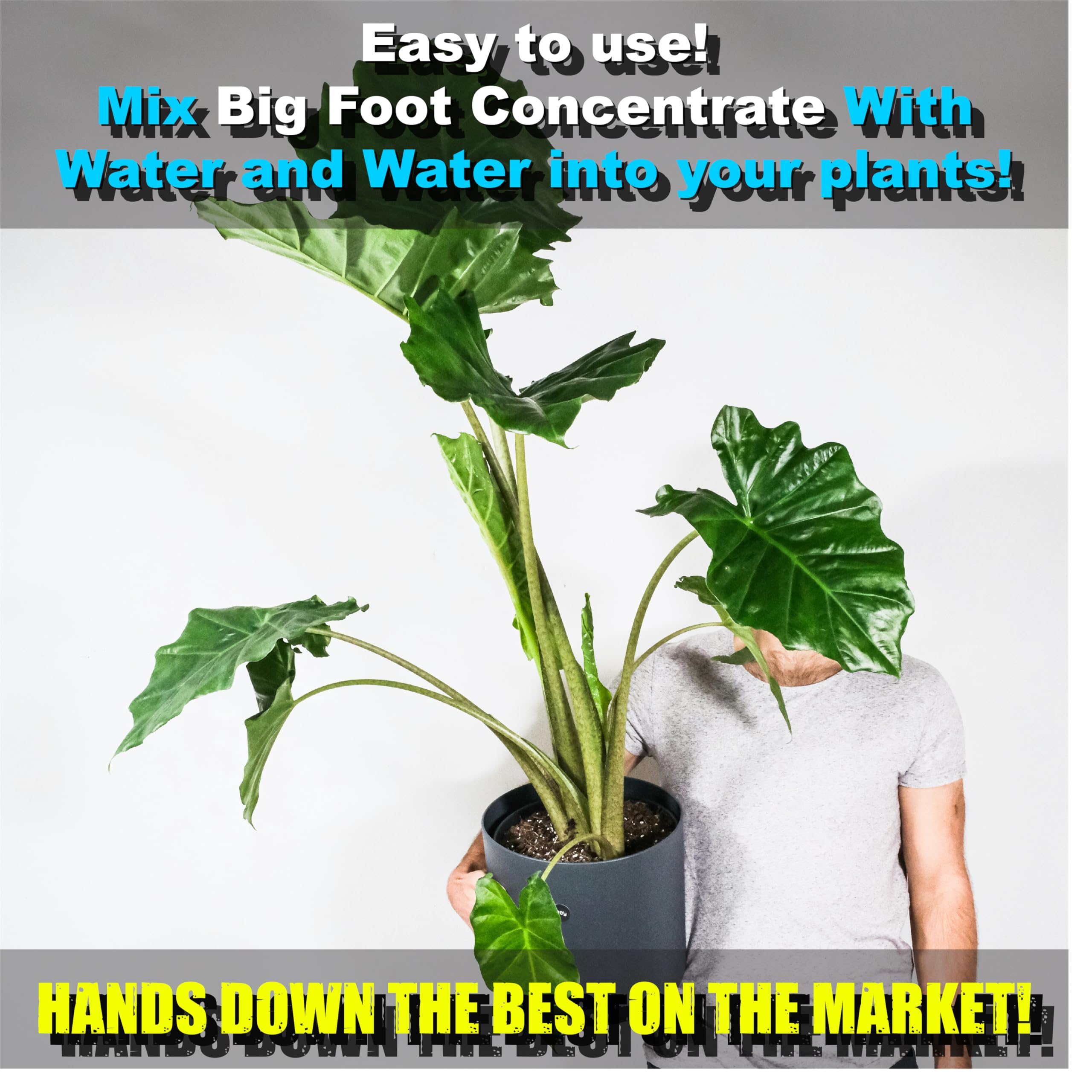 Big Foot mycorrhizae soil-application improving soil health and moisture retention.