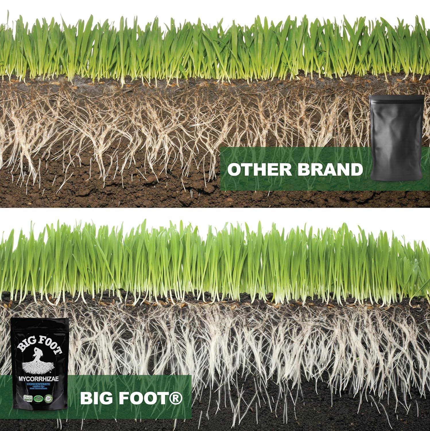 Big Foot Mycorrhizae improves soil health and water retention.