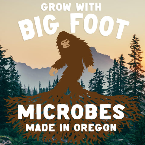 Big Foot moisture retention benefit shown in drought-tolerant soil scenarios.