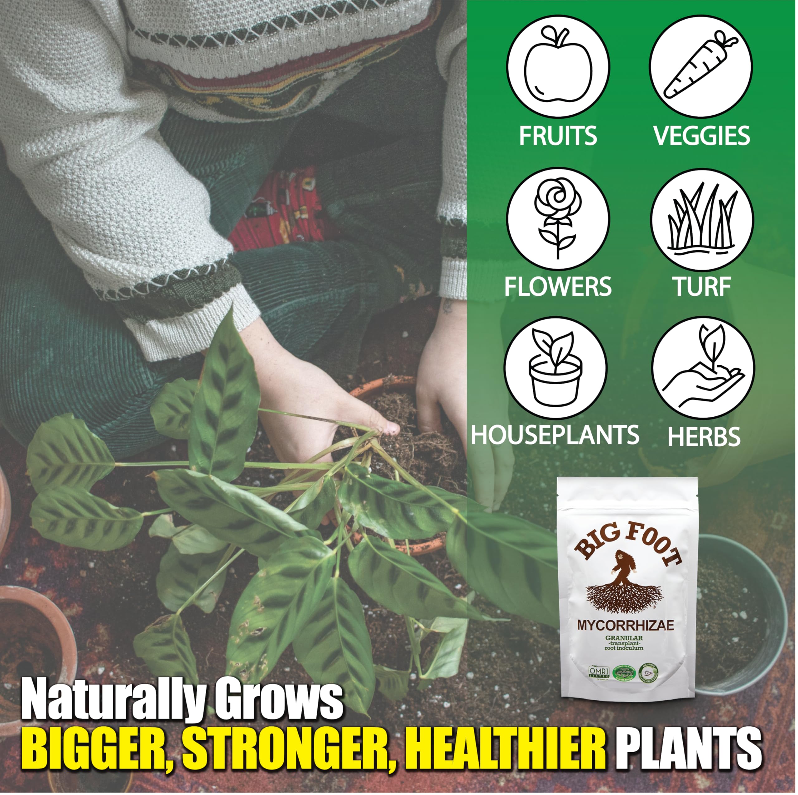 Big Foot Made in the USA badge signals trusted, science-backed roots care.