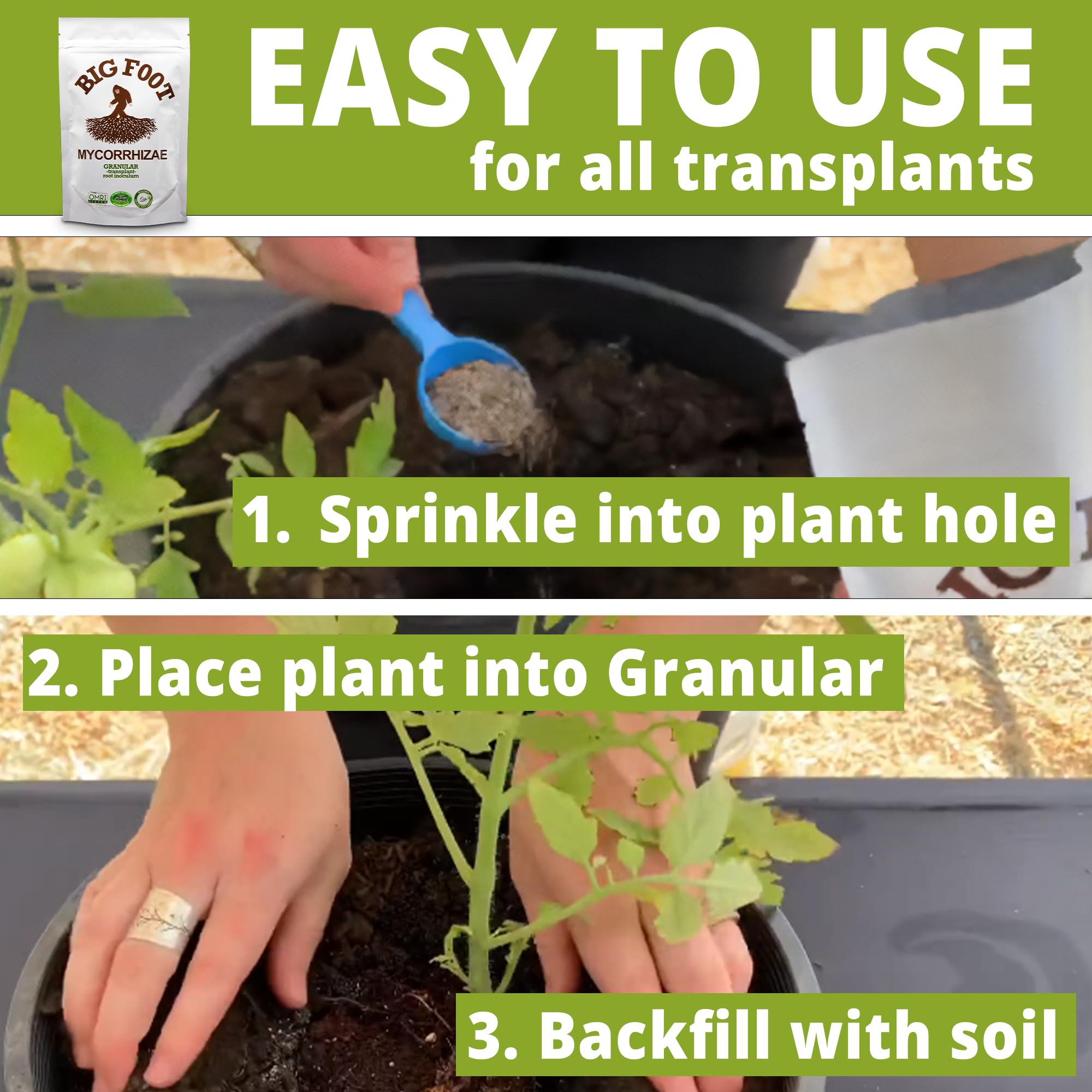 Big Foot transplant setup scene suggests quick dosing for thriving new plants.
