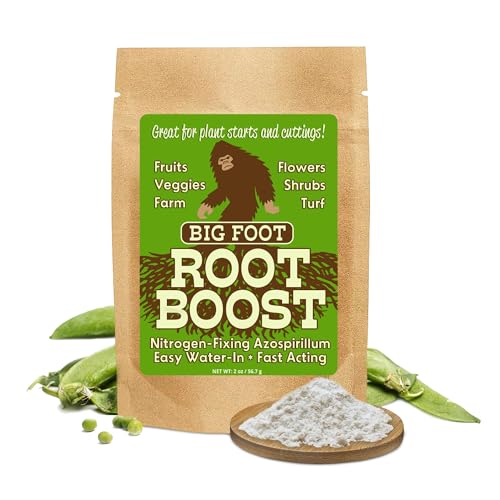 Dissolving Big Foot Probiotic Root Boost powder in water for quick ready-to-use mix
