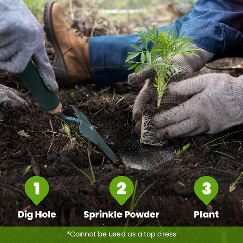 Big Foot Probiotic Root Boost on cuttings to support rooting