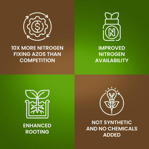 Made in USA badge alongside Big Foot Probiotic Root Boost packaging