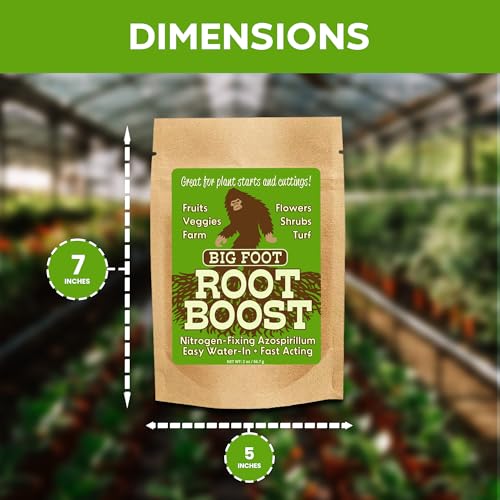 Measuring scoop next to Big Foot Probiotic Root Boost for accurate dosing