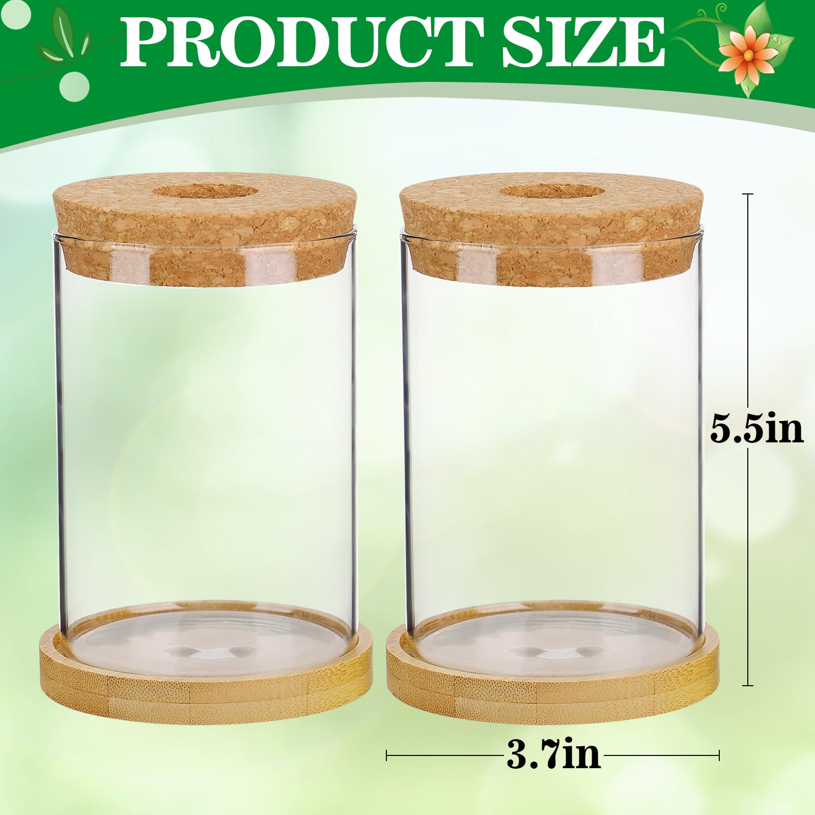 Biggun gift-ready terrarium set for gardeners and plant lovers.