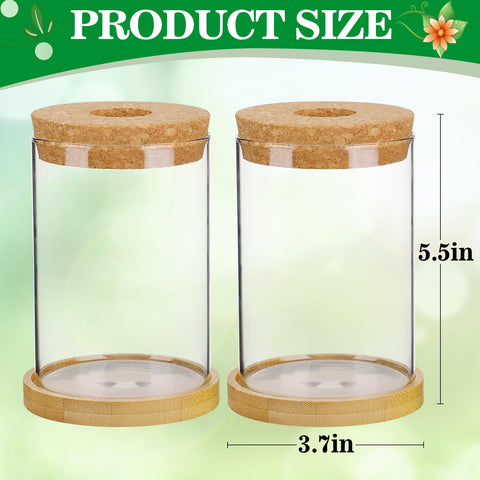 Biggun gift-ready terrarium set for gardeners and plant lovers.