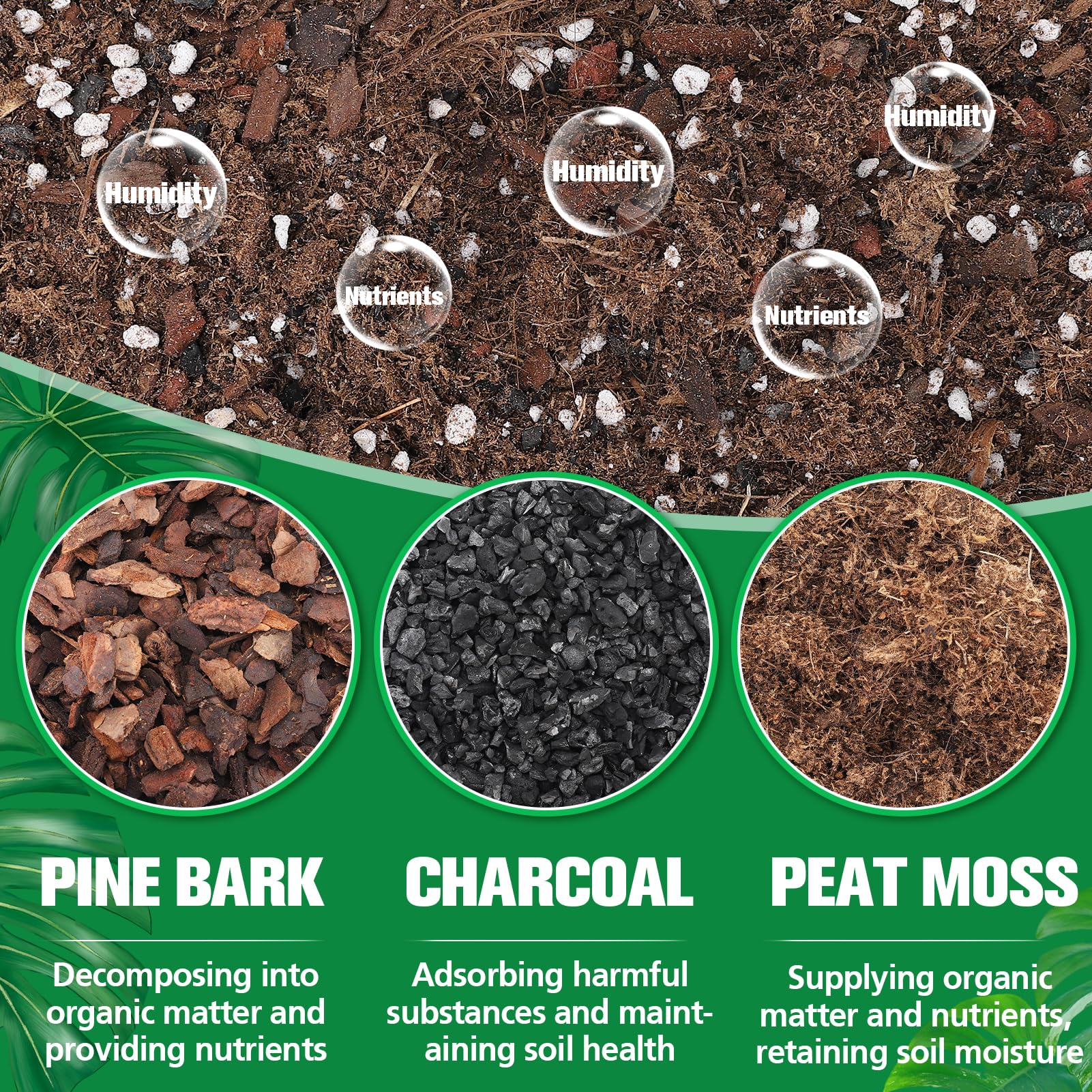 Biggun Monstera Soil Mix balanced pH for resilient root systems