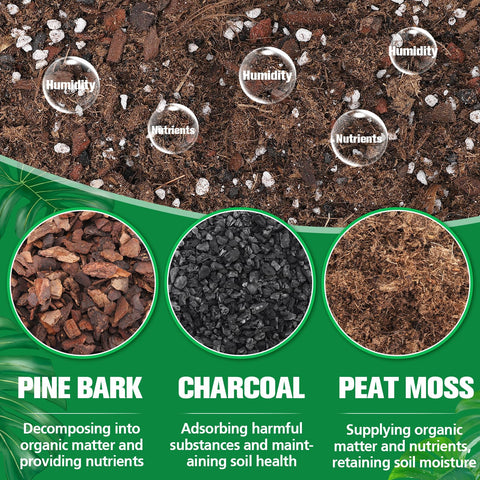 Biggun Monstera Soil Mix balanced pH for resilient root systems