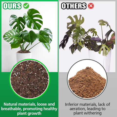 Biggun Monstera Soil Mix improves drainage and aeration for healthier roots
