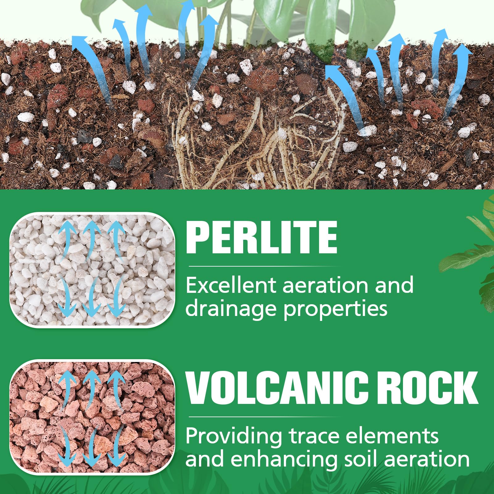 Biggun Monstera Soil Mix nutrient-rich blend supports vibrant foliage