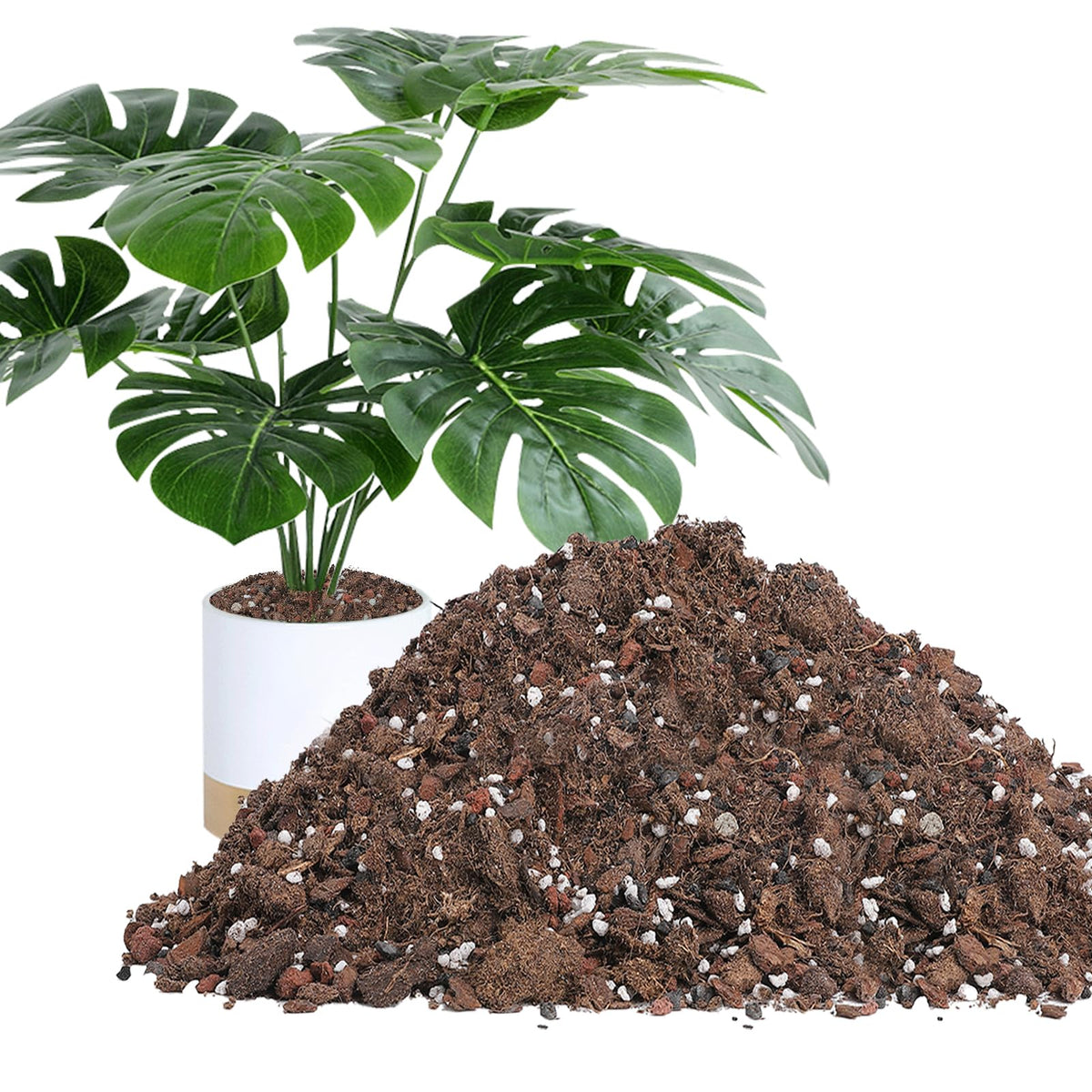 Biggun Monstera Soil Mix premium material for robust tropical growth