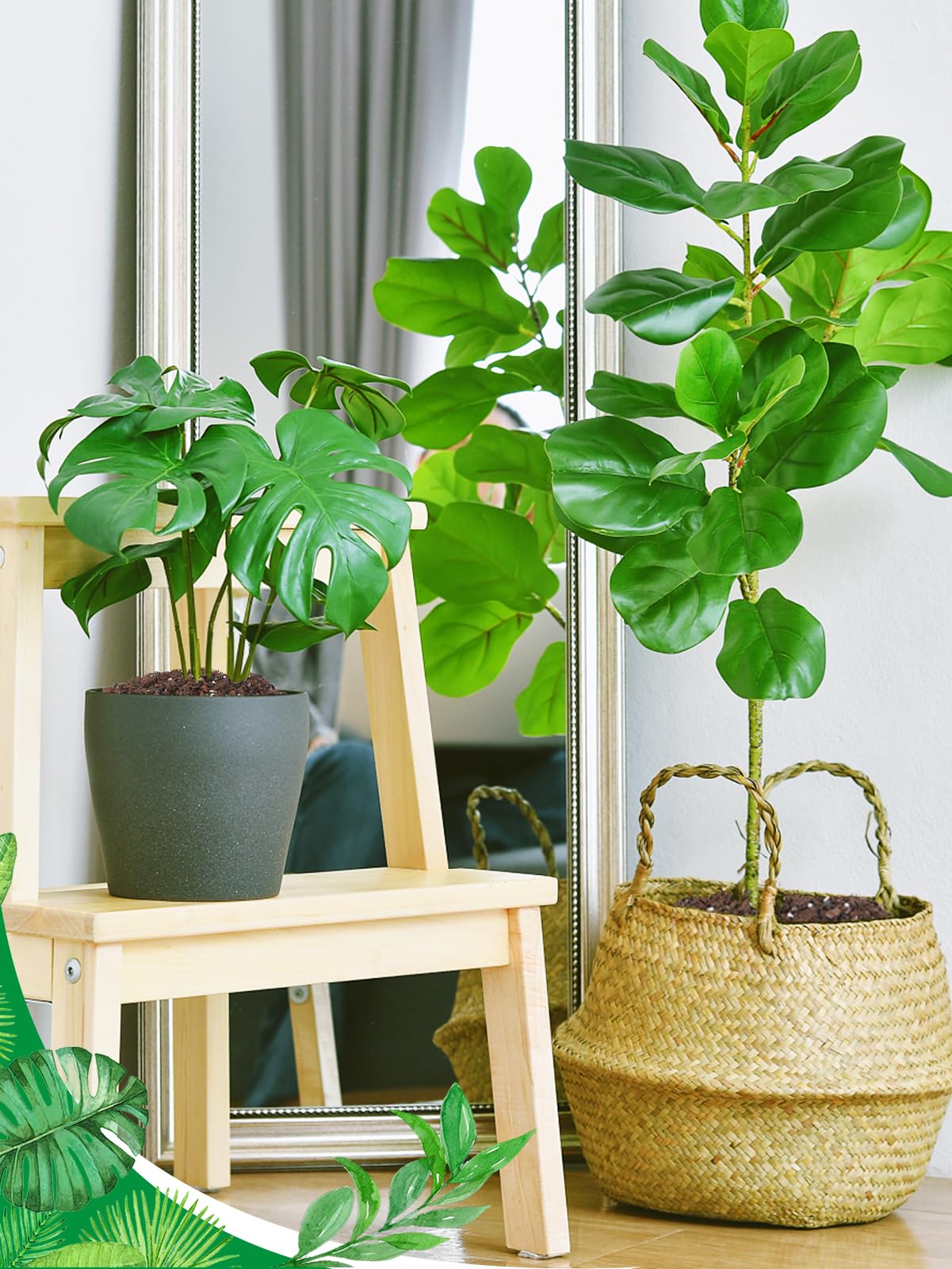 Biggun Monstera Soil Mix versatile for monstera and tropical houseplants