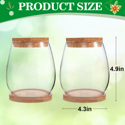 Biggun propagation station gift-ready set for gardeners and plant lovers.