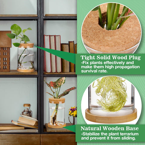 Biggun straight-shape propagation station with separated tray keeps components organized.