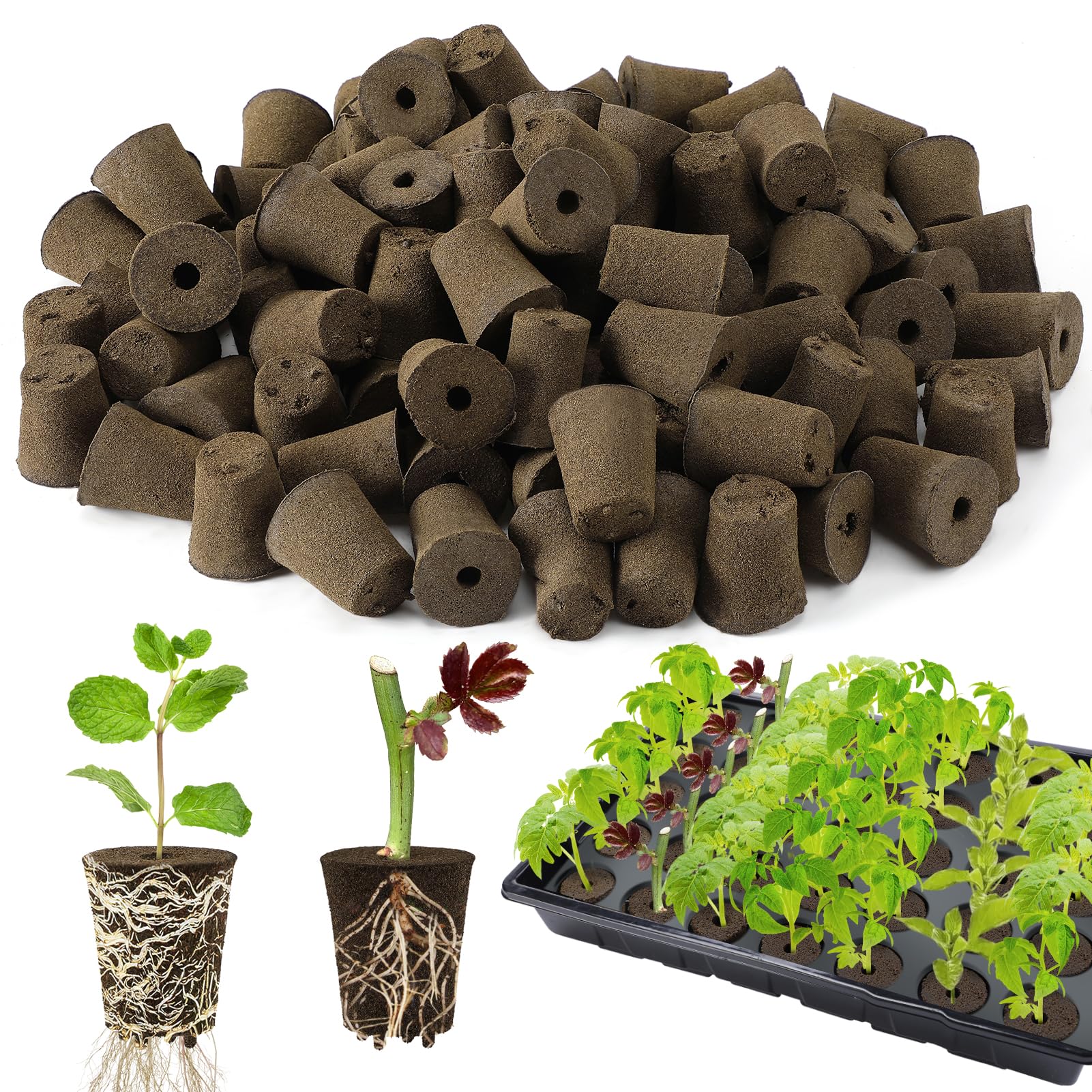 Bigmeta 100-pcs rooting sponges round for quick germination and easy transplant.