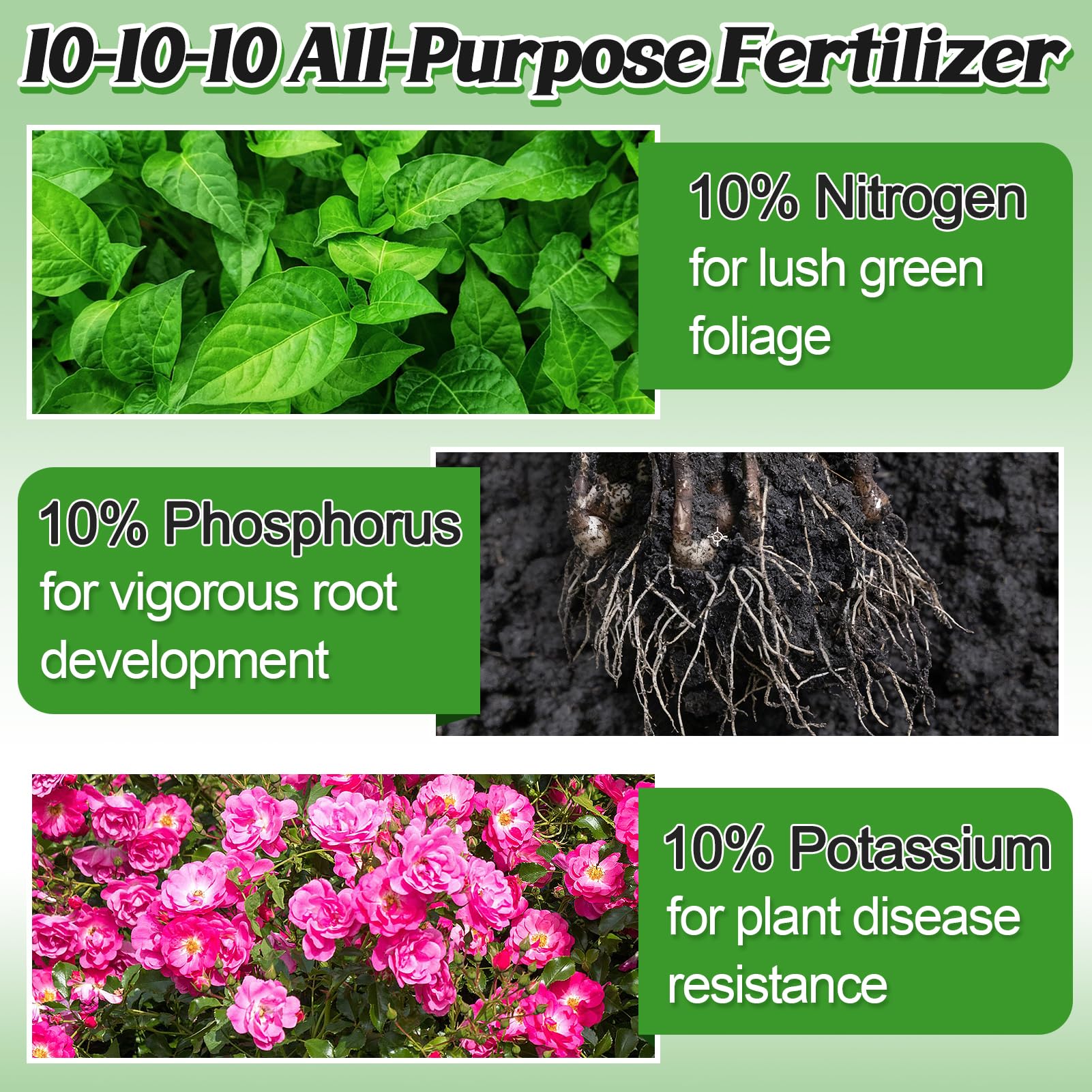 Bigmeta 10-10-10 fertilizer bottle label shows balanced formulation for all plants.