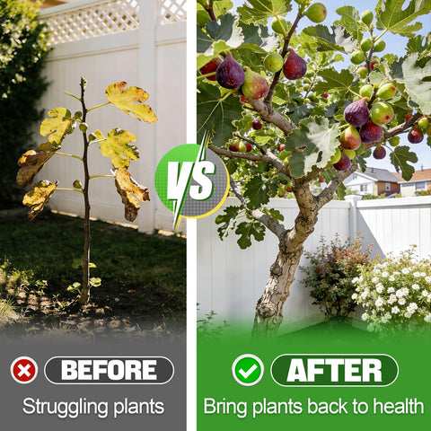 Pour-friendly Bigmeta granules enable even application in home gardens.