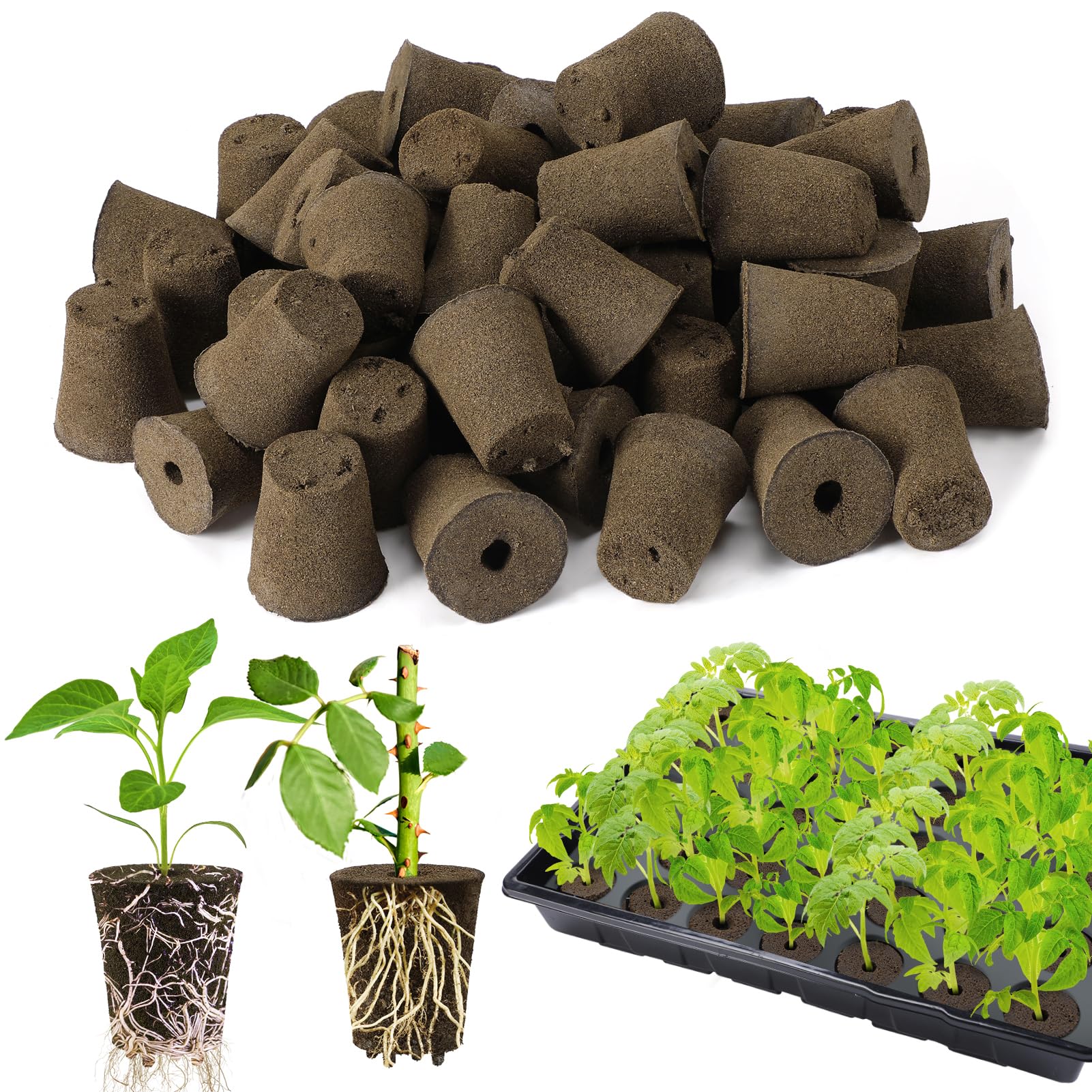Bigmeta 50pcs rooting sponges pack for rapid seedling rooting.