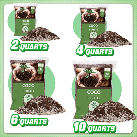 Home garden with Bigmeta Coco Coir Perlite Mix for healthy growth