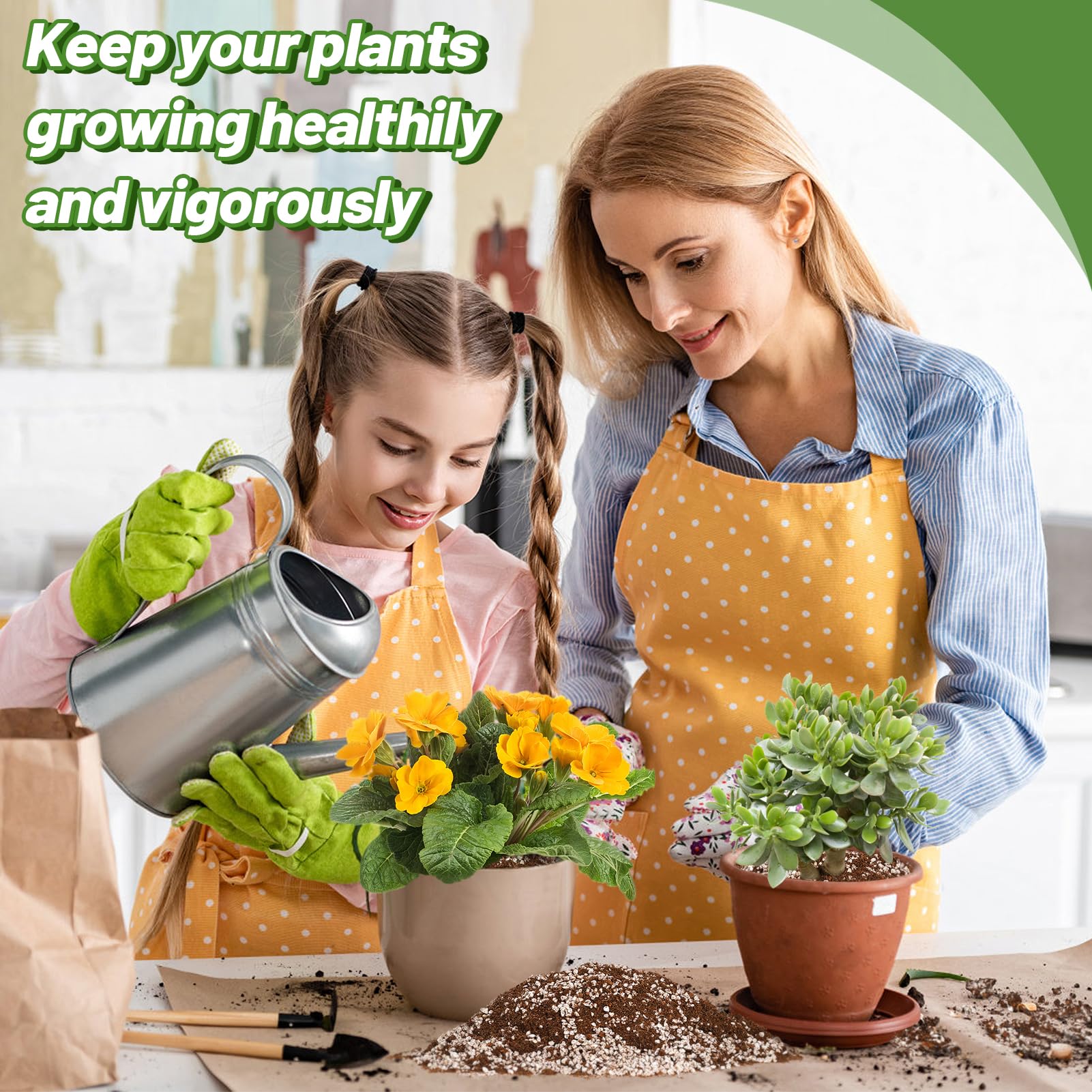 Indoor plant in a pot using Bigmeta mix for healthy roots