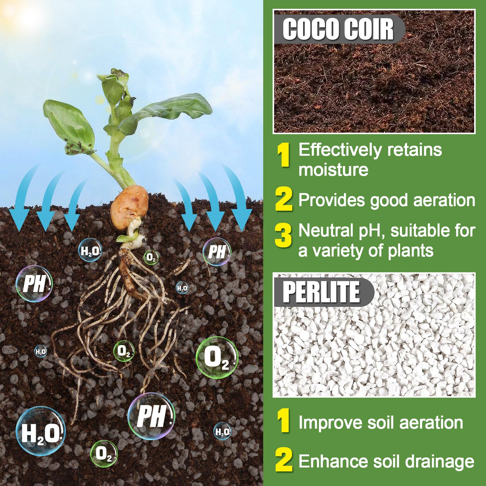 Close-up of Bigmeta mix texture with airy coco fibers and perlite for drainage