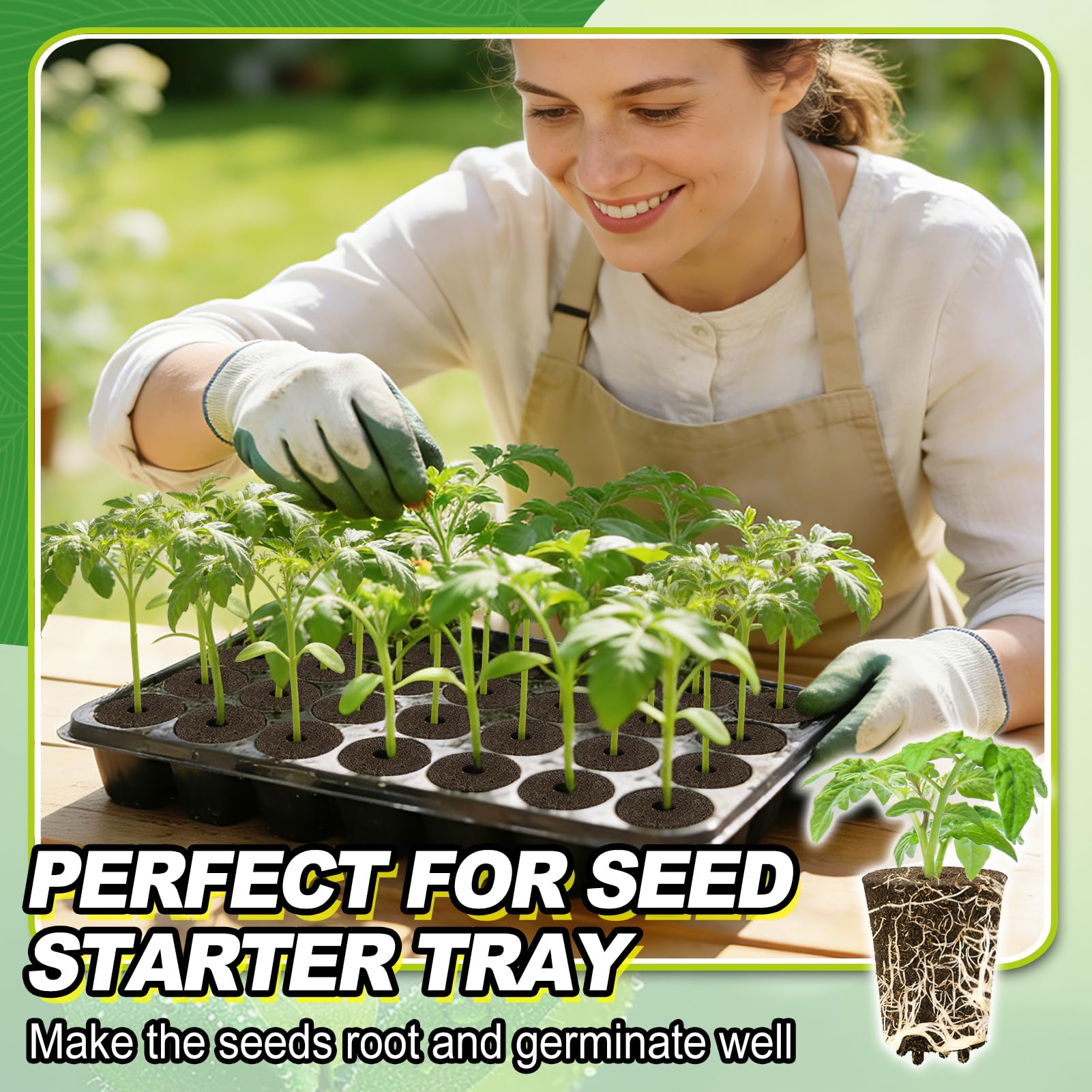 Bigmeta easy-to-use sponge plugs speed up planting and care.