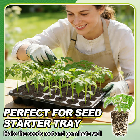 Bigmeta easy-to-use sponge plugs speed up planting and care.
