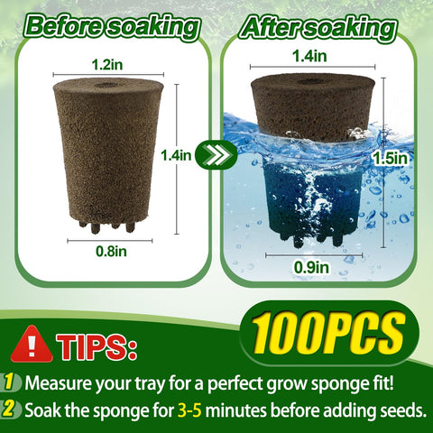 Bigmeta easy-use soak 3–5 minutes before placing plants inside.