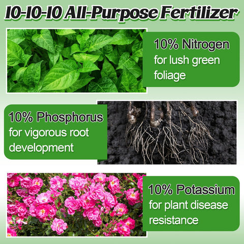 Bigmeta granular 10-10-10 all-purpose plant food for vegetables and flowers