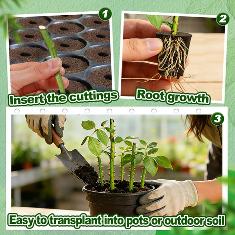 Bigmeta root-starting sponge fits seedling baskets for versatile propagation.