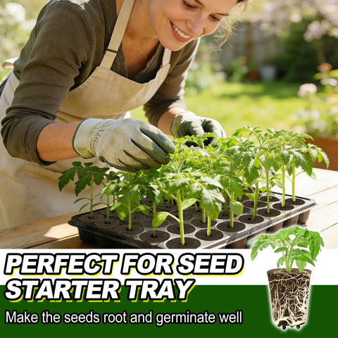 Bigmeta propagation sponges support cuttings and seed starts across trays.