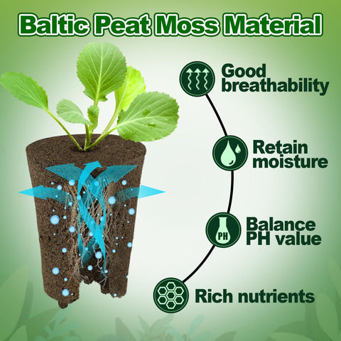 Bigmeta rooting sponges in seedling trays simplify transplant to pots.