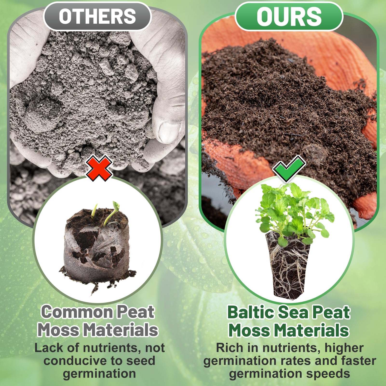 Bigmeta seed starter sponge with flat base stays upright in seedling trays.