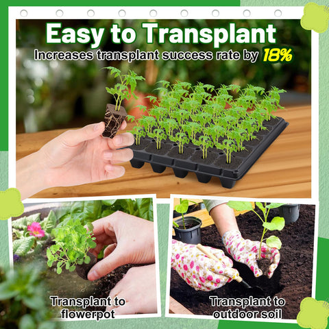 Bigmeta peat moss sponge retains moisture and provides aeration for roots.