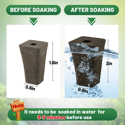 Bigmeta seed starter sponge enables easy transplanting with minimal root disturbance.