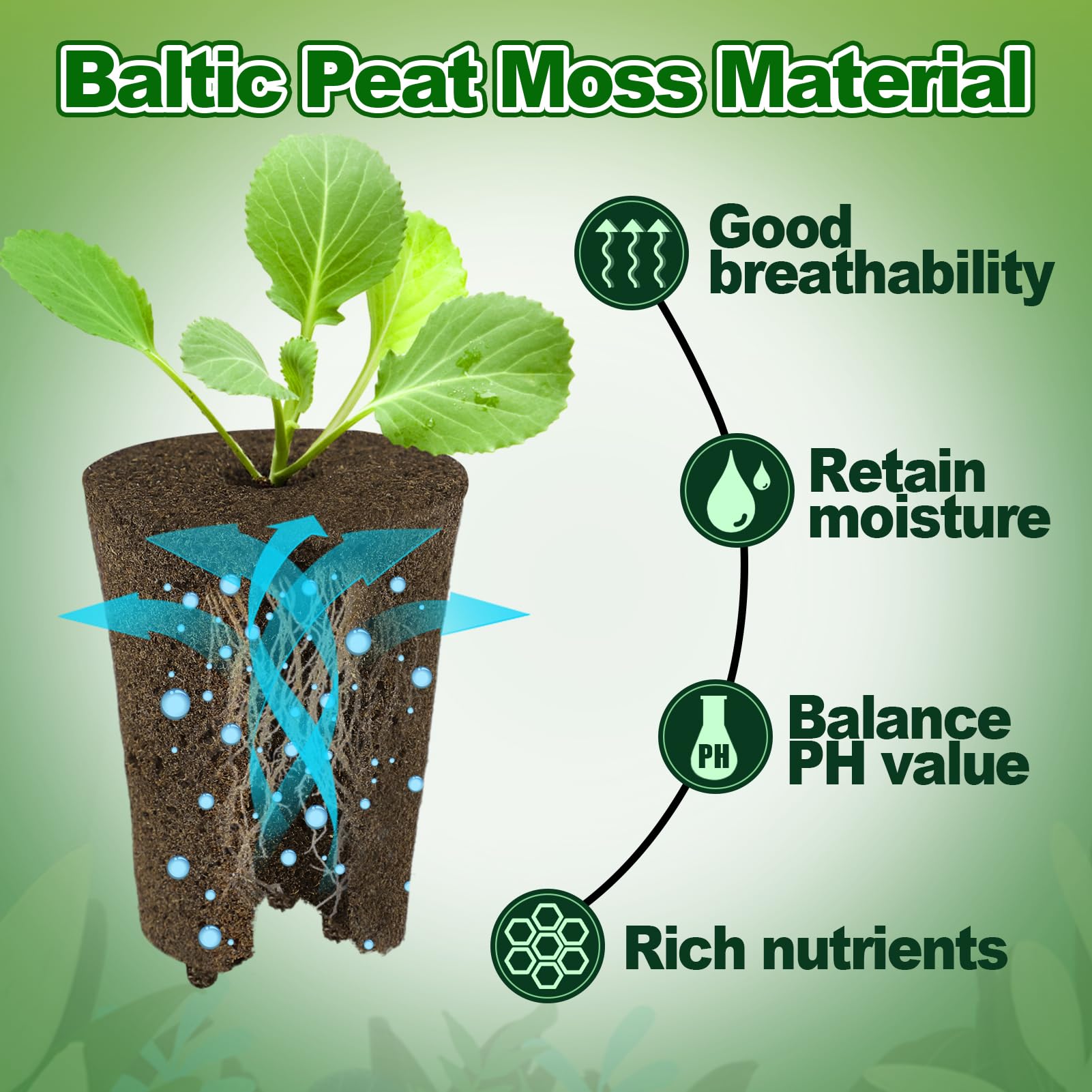 Bigmeta transplant-ready rooter sponge eases moving seedlings to pots or soil.