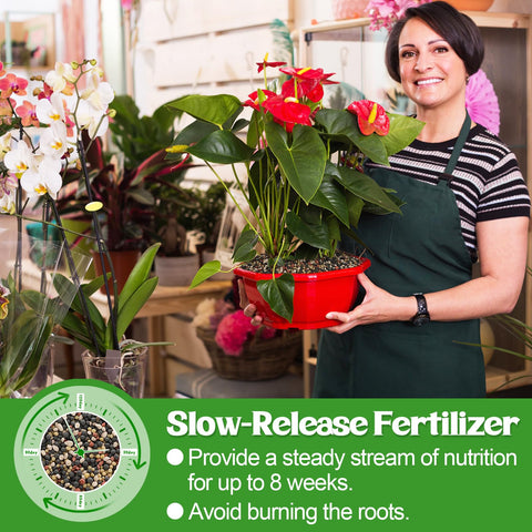 Bigmeta fertilizer applied across garden beds for vegetables, flowers, lawn and trees