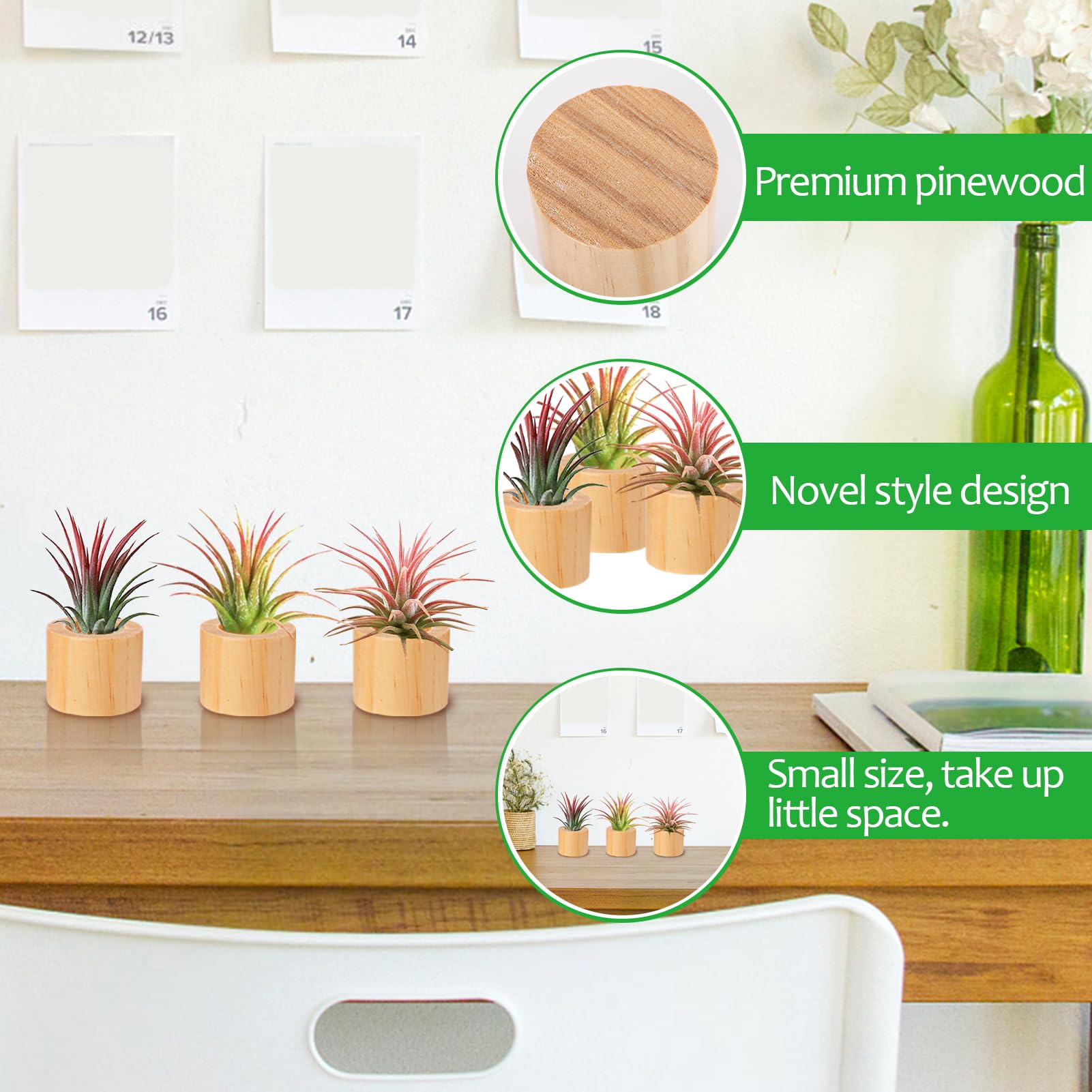 Bigmeta wood air plant holder with mini plants for tidy arrangement