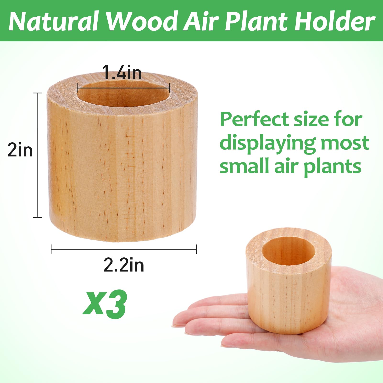 Bigmeta wood air plant holder noting packaging and ready-to-gift