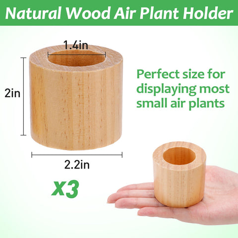 Bigmeta wood air plant holder noting packaging and ready-to-gift