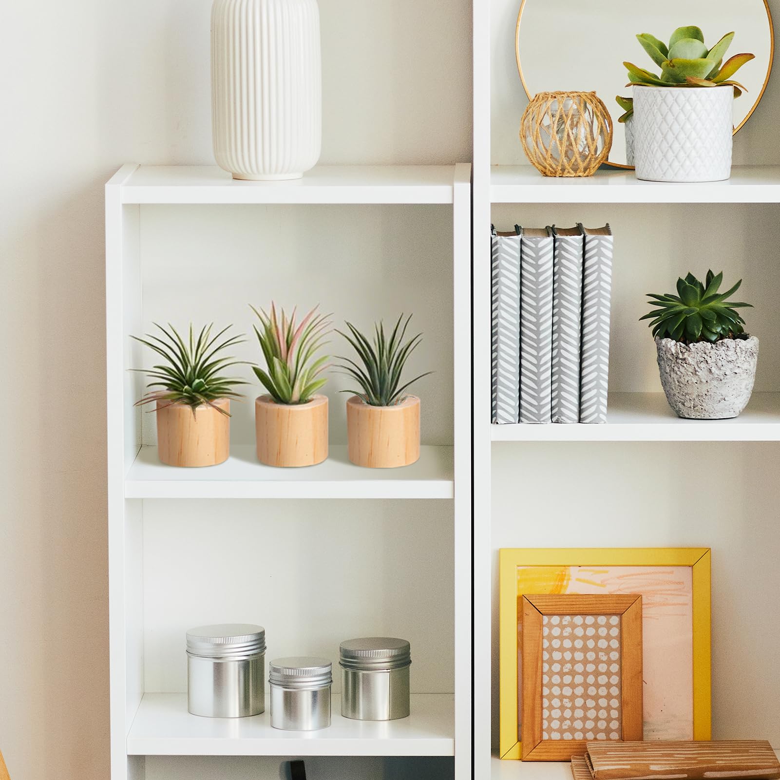 Bigmeta wood air plant holder on shelf adds decorative charm